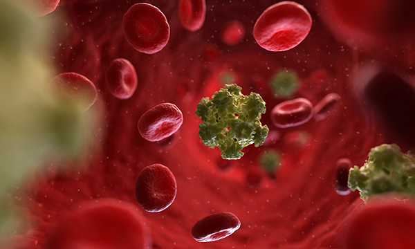 Picture shows computer artwork of human papilloma virus particles in the bloodstream. A more sensitive cervical screening test rolled out across the UK means infections will be spotted earlier