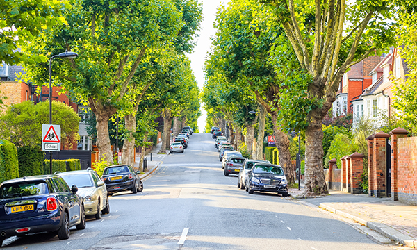 Asthma trees_web_iStock