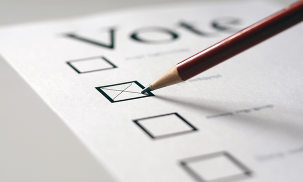 voting slip