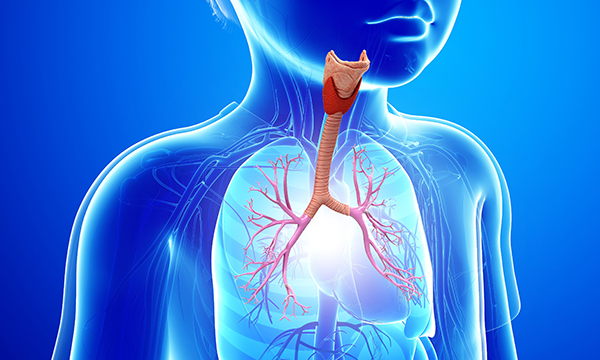 Child bronchiolitis