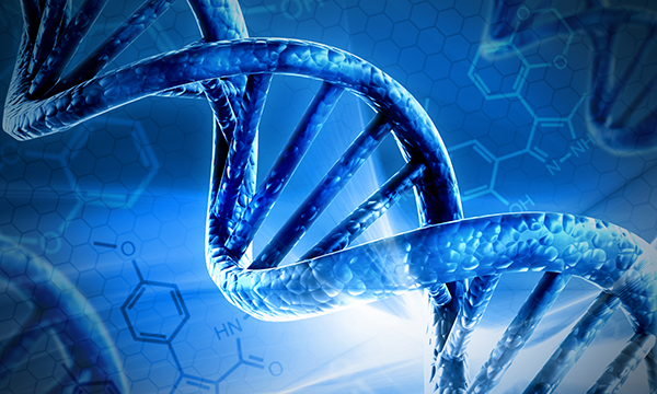DNA