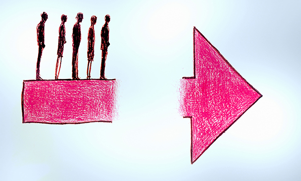 The role of the HCA