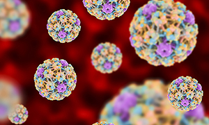 HPV