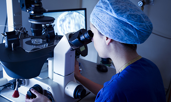 IVF treatment