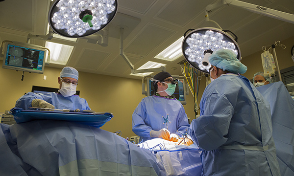 Spine surgery