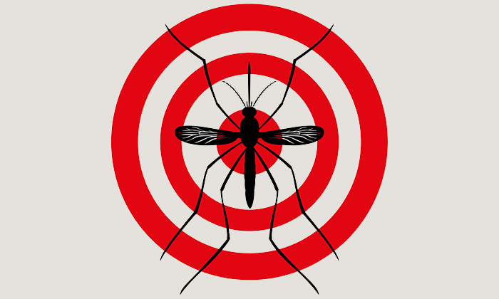 Zika3