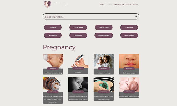 Breastfeeding Companion