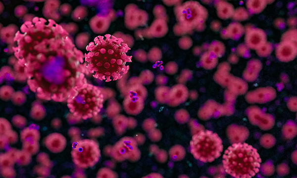 Image of coronavirus. The editorial says that in these extraordinary times, senior nurses must model good management and leadership, and demonstrate exemplary infection control.