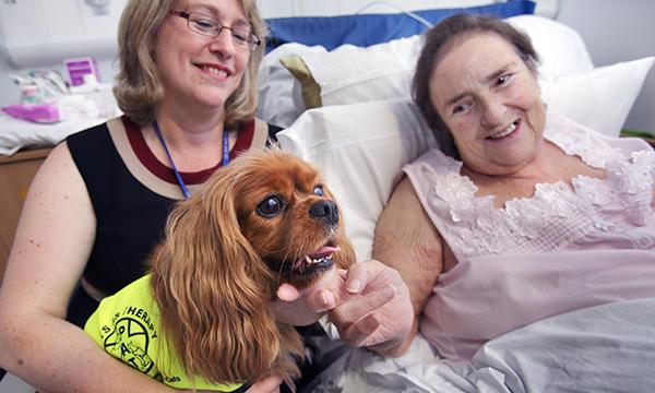 pet