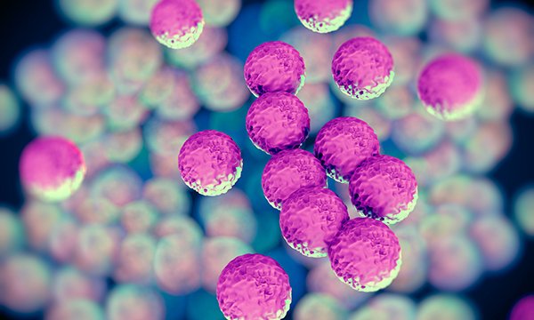 Applying an antimicrobial stewardship competency framework in nurse education and practice
