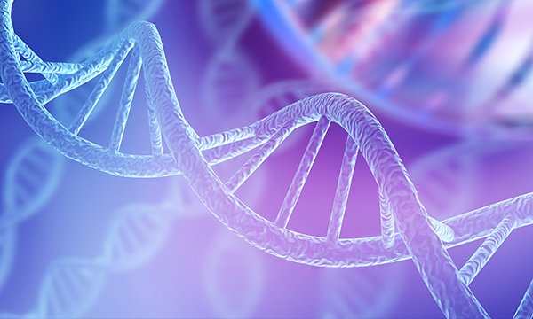 DNA helix