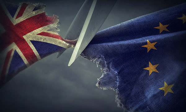 EU flag