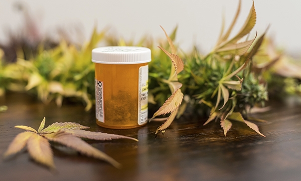 Cannabis