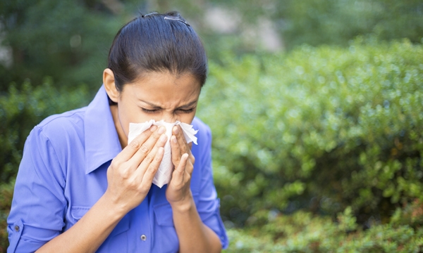 Hayfever