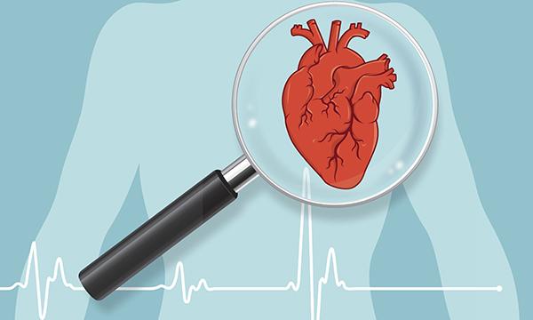 Heart illustration