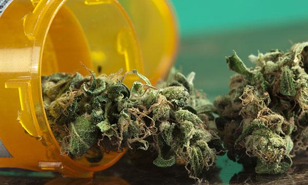 Marijuana
