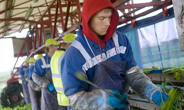 Migrant workers