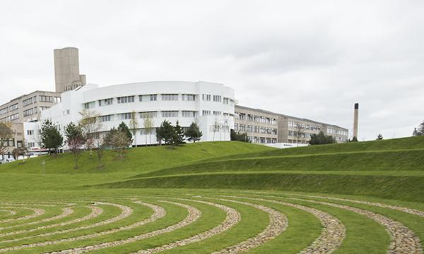 NHS_Tayside_Ninewells_edited_removing_Karen_Walker_tile-AR__006.jpg