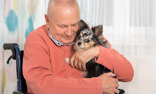 Pet owner