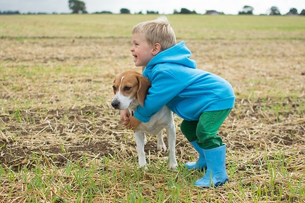 Dog bite injuries